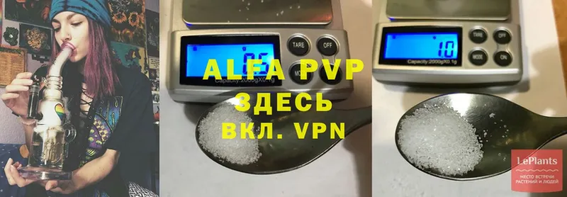 как найти наркотики  Избербаш  блэк спрут рабочий сайт  Alfa_PVP СК 