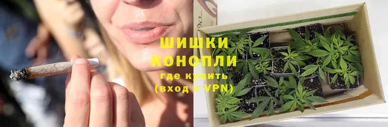 Канабис White Widow  купить закладку  Избербаш 